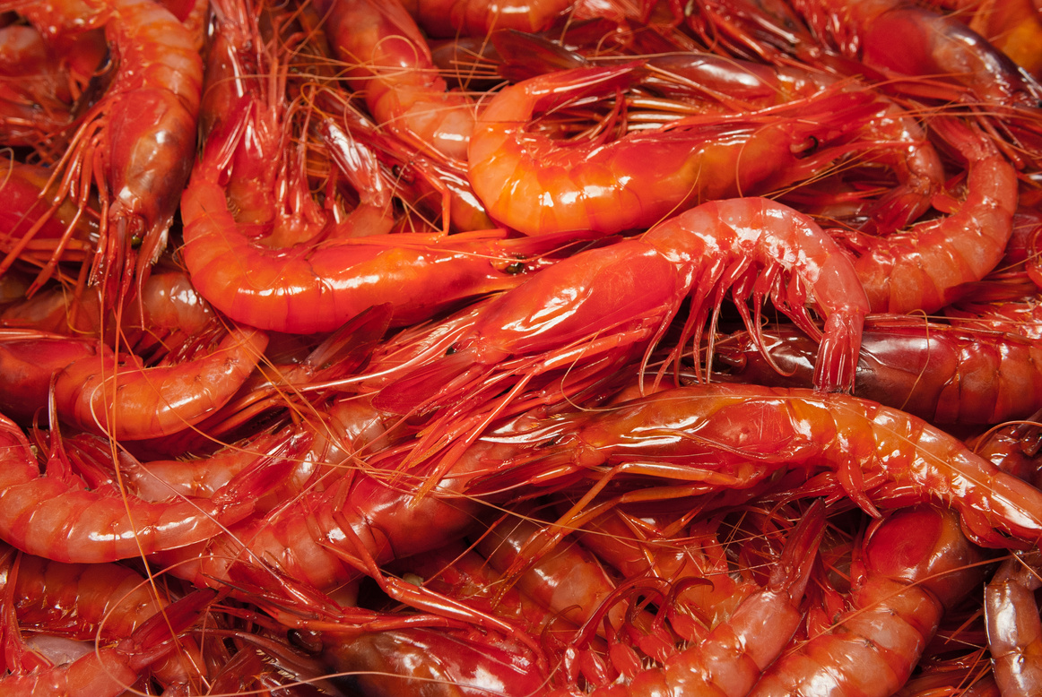 Fresh Red Prawns Closeup