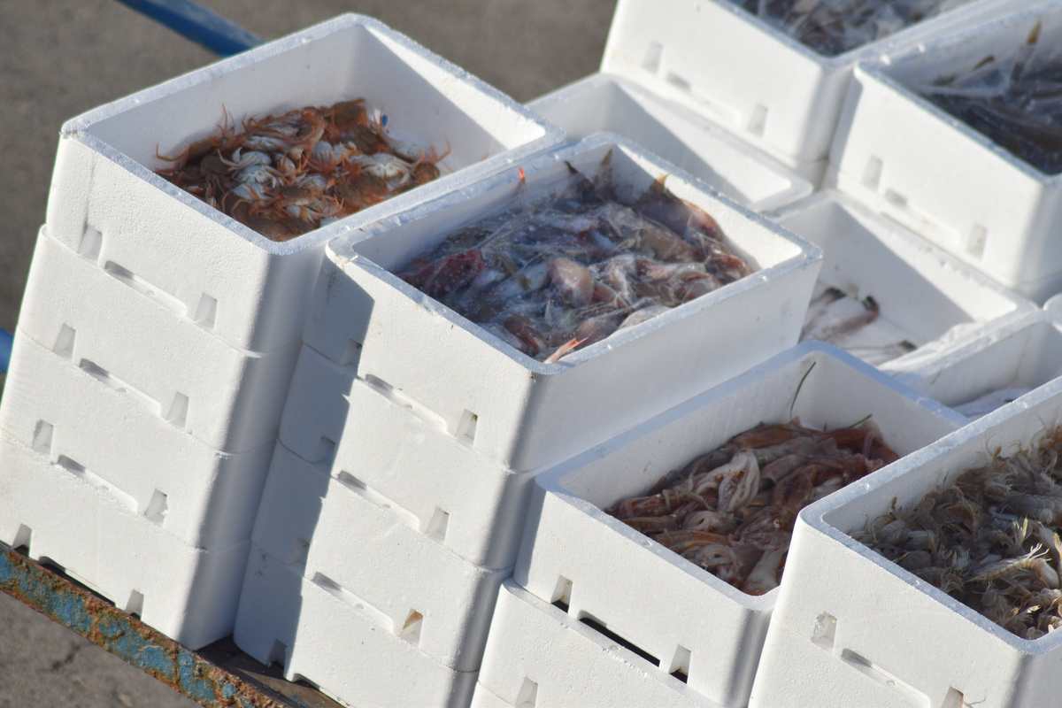 Thermocol Fish Boxes