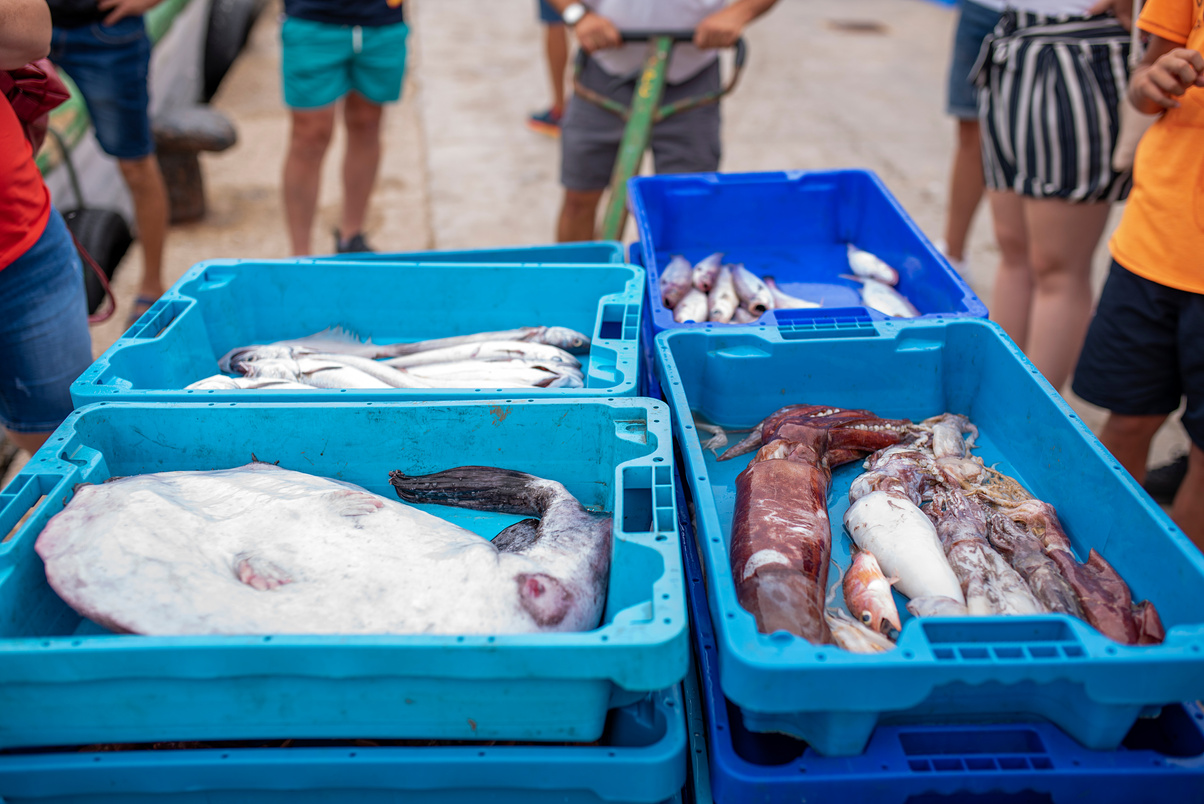 Sailor dragging fish boxes