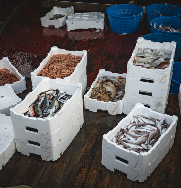 Fishermen dropping fish boxes at harbor