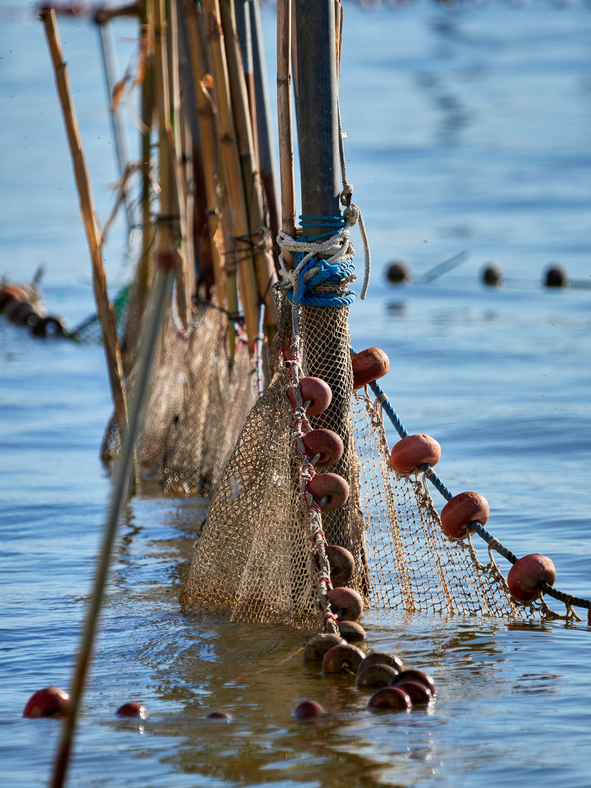 The gears and gear used in the traditional fishing of L'Albufera, Valencia